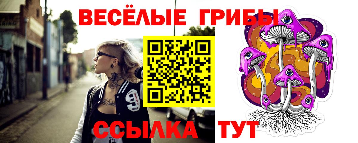 Галлюциногенные грибы MAGIC MUSHROOMS  Псилоцибиновые грибы Psilocybe  Чехов  Вход с VPN 