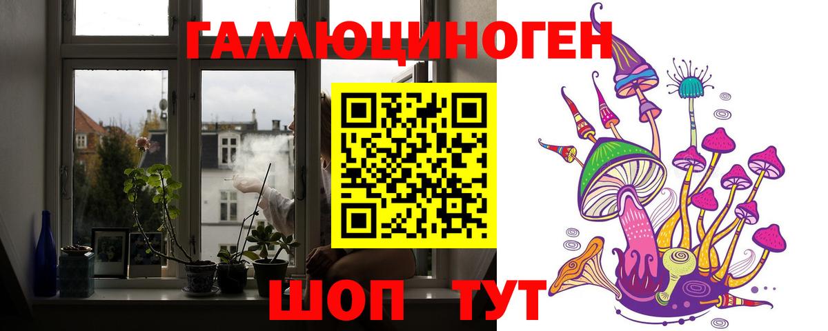 Псилоцибиновые грибы Psilocybine cubensis Чехов